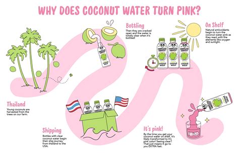Coconut Water Pink: Why Does Coconut Water Turn Pink? | Harmless ...