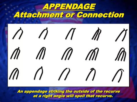 Image result for Loop Fingerprint