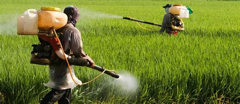 GET RID OF ALL UNWANTED WEEDS WITH EFFECTIVE WEEDICIDES FROM FARM KEY