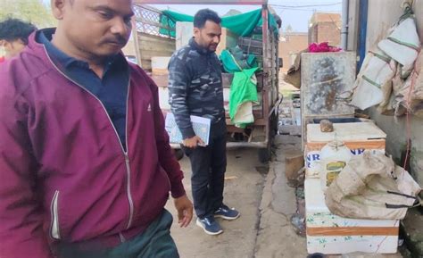 थाई मांगुर मछली की अवैध बिक्री पर हुई कार्यवाही - Hindi News Madhya Pradesh