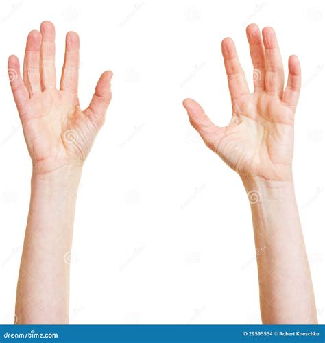 Two hands reaching up stock photo. Image of person, reach - 29595554