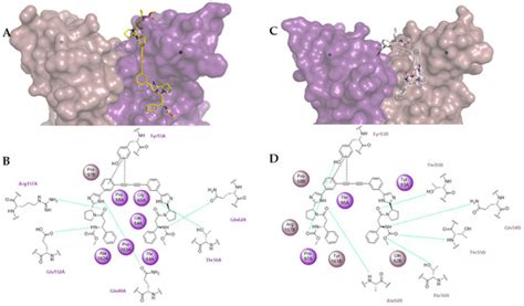 Pharmaceuticals | May 2022 - Browse Articles