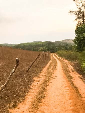 Mugilu Homestay Sakleshpur - Resorts Sakleshpur