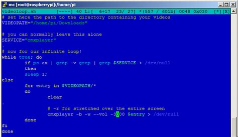 Image result for Raspberry Play Constant Loop Video