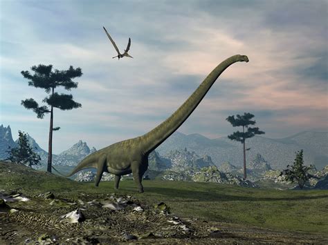 What Is A Long Neck Dinosaur Name at Colton Larson blog