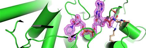 Protein Structures Solved|Protein Crystallography Lab