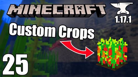 Image result for Minecraft Forge Modding 1.17 Tutorial