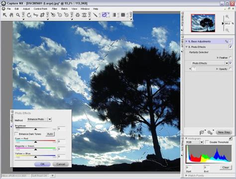 Image result for Tutorial Capture NX Studio
