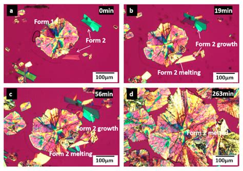 Pharmaceutics | Special Issue : Pharmaceutical Solid Forms: From ...