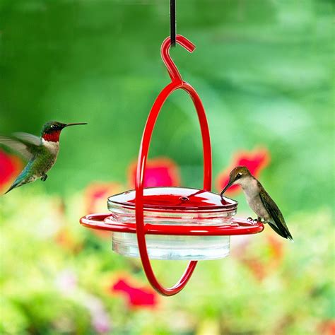 Dish Hummingbird Feeder at Harold Hernandez blog
