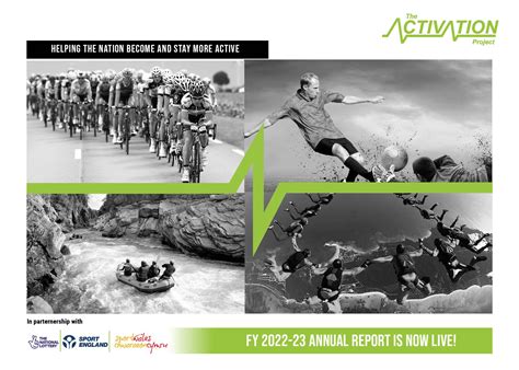 Image result for Sim Activation Project Report