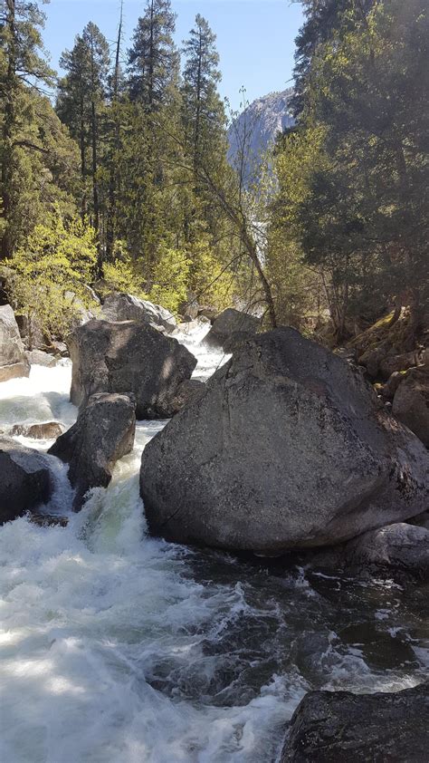 Photo Album – Olive Vista STEAM Magnet – Olive Vista Middle School