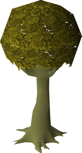 Image result for Old Magic Tree OSRS