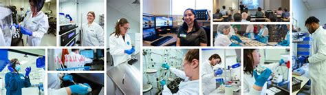 Careers - Mérieux NutriSciences