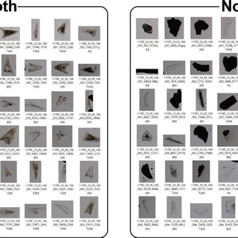 Image result for Dataset Example