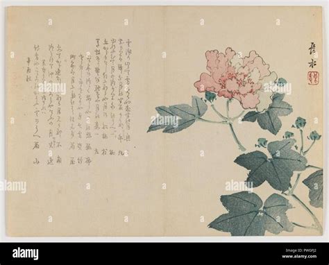Peony Branch - Chôsui Yabu Stock Photo - Alamy