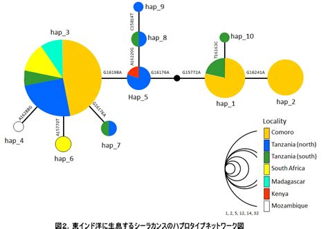Image result for Methods of Array