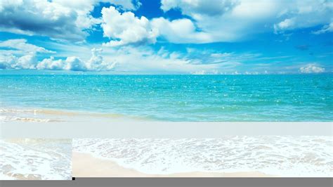 Image result for Spring Break HD