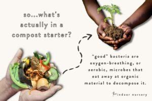 Compost Bagging System 的图像结果