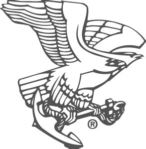 API Safety Valves | LESER