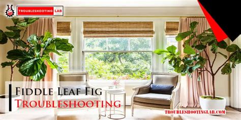 Image result for Fios Troubleshooting Tips