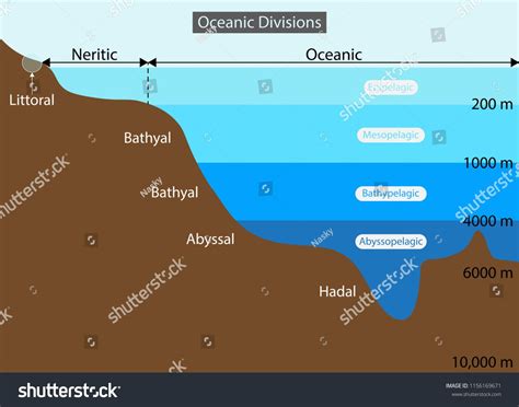 illustration of Physical Geography, Layers of the Ocean diagram, View ...