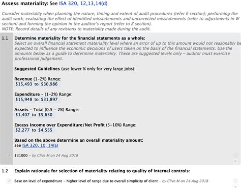 Image result for Materiality Audit