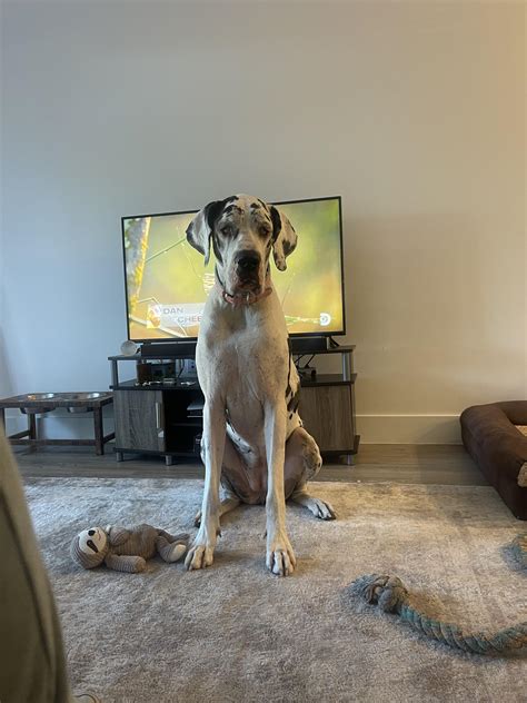 Juicy Jenna Jane (u/JennuhJane) - Reddit