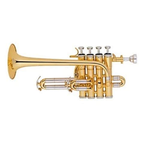5 Best Piccolo Trumpets Reviewed in Detail [Oct. 2020]