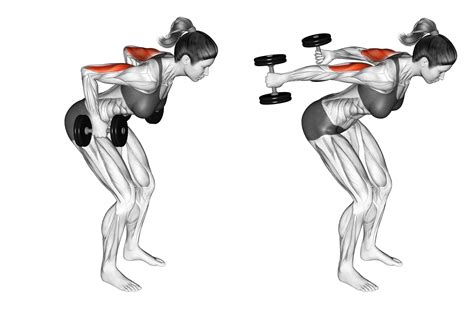 6 Best Lateral Head Triceps Exercises (with Pictures!) - Inspire US