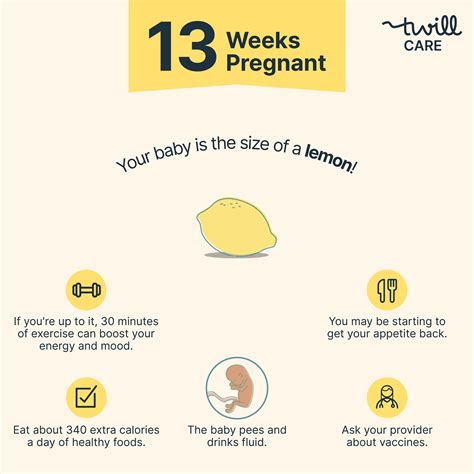 13 Weeks Pregnant | Pregnancy Week-by-Week - Twill Care