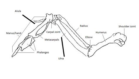 Image result for Examples of Computer Algorithms