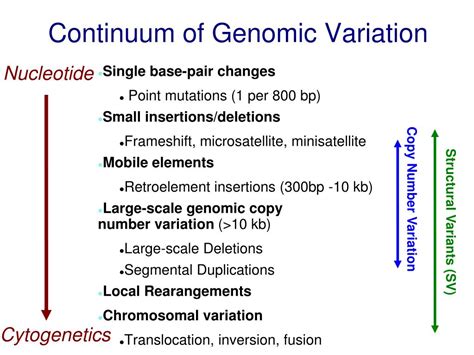 Image result for Formation of Copy Number Variation