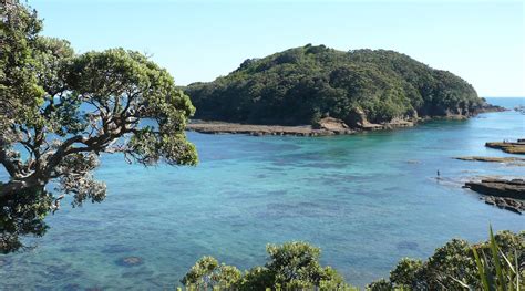 TAUHOU MATAKANA - Lodging Reviews, Photos, Rate Comparison - Tripadvisor