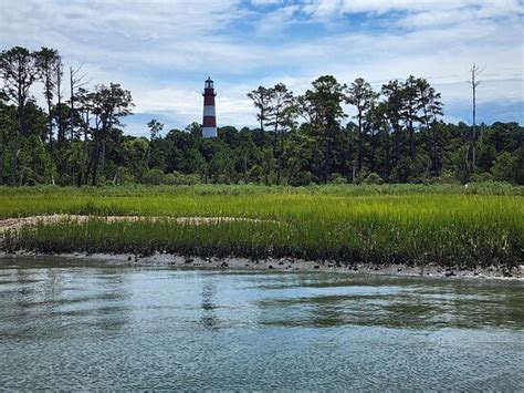Barnacle Bill's Wild Pony Boat Tours (Chincoteague Island) - All You ...