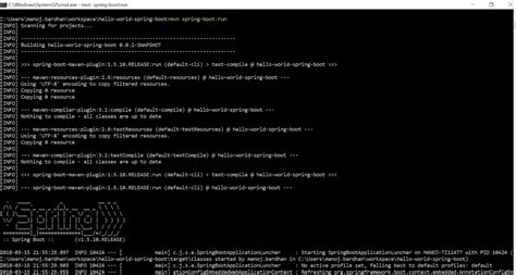 Image result for Spring Boot Project Running Terminal