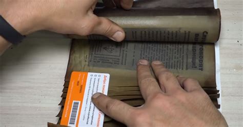 Propaganda Shell 的图像结果