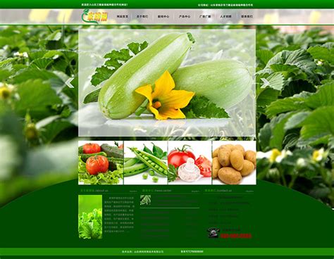 海南蔬菜种植管理系统的设计和实现(前台加后台,ASP.NET,SQL)(含录像)|.NET|计算机
