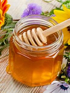 beste honig in deutschland bienensterben durch massenhaltung so qualvoll sterben beste honig in deutschland bienensterben durch massenhaltung so qualvoll sterben