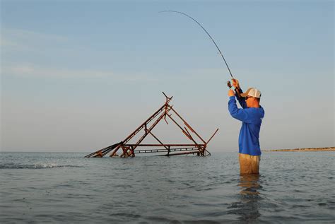 Fishing Surfer 的图像结果