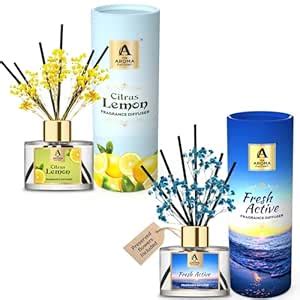 The Aroma Factory Fragrance Reed Diffuser Glass Set with Essential Oil ...