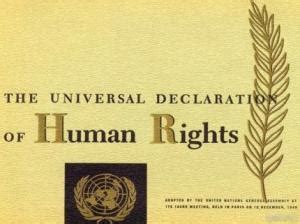 纪念世界人权日 - 中国人权网