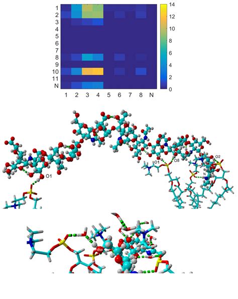 Phospholipids and Hyaluronan: From Molecular Interactions to Nano- and ...