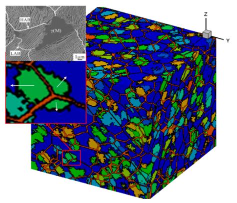 Three-Dimensional Cellular Automata Simulation of the Austenitizing ...