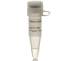 Buy T4 DNA Polymerase, 100 units EP0061 in India | Biomall