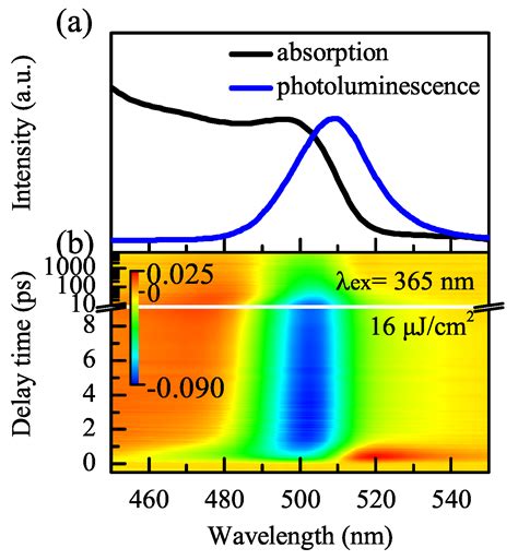 Excitation Wavelength and Intensity-Dependent Multiexciton Dynamics in ...