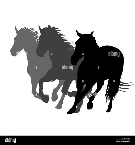 Running horses silhouette hi-res stock photography and images - Alamy