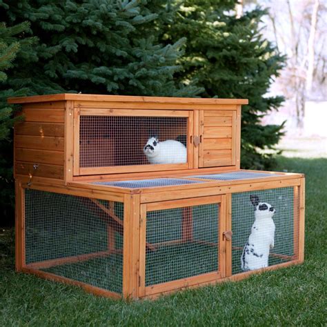 Choosing The Right Cages For Rabbits Outside: A Guide For Happy Hops