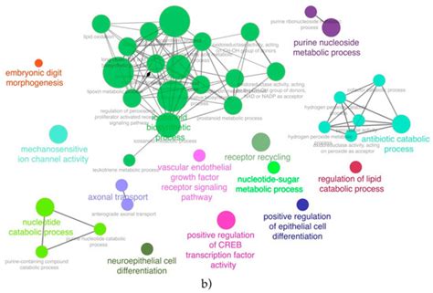 Long Non-Coding RNA Landscape in Prostate Cancer Molecular Subtypes: A ...