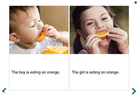 See and Learn Sentences 1